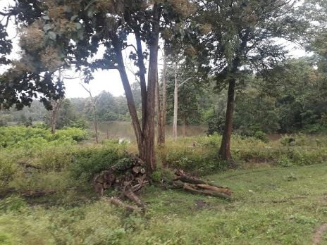 coorg_Nagarhole National Park_4